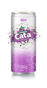 330ml Carbonated Mangosteen Flavor Drink